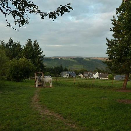 Kuenstlerhaeuschen Apartman Oberwesel Kültér fotó