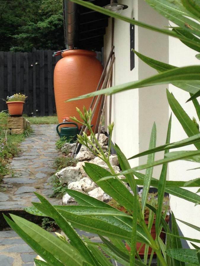 Kuenstlerhaeuschen Apartman Oberwesel Kültér fotó